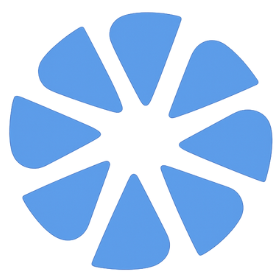 Burst Marketing Icon