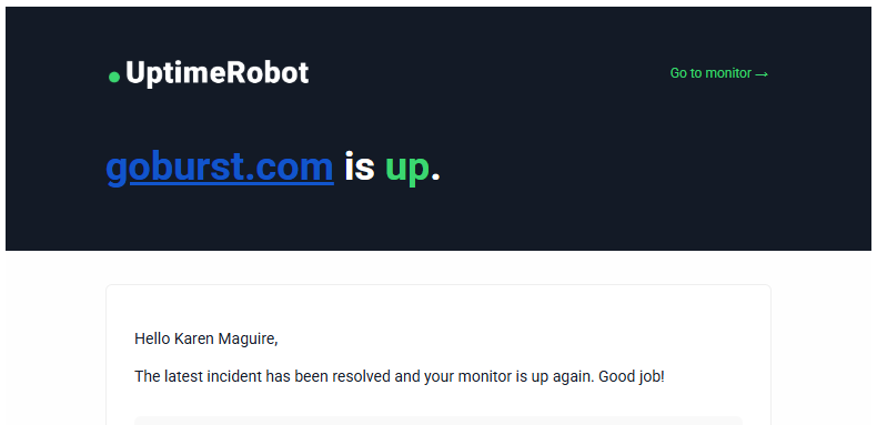 Website Uptime Monitoring